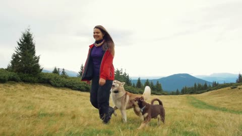 Young female playing and walking dogs in mountains