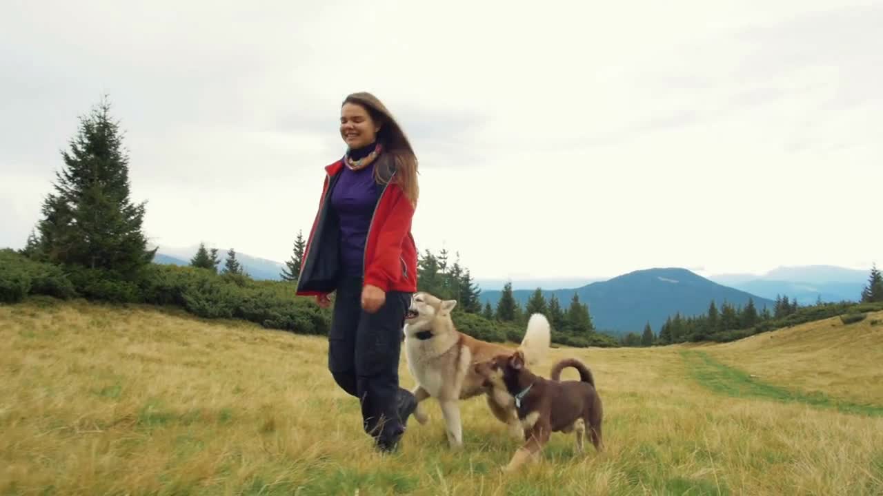 Young female playing and walking dogs in mountains