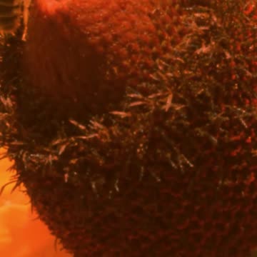 075 Unlock your best life with numerology! Following what truly resonates with