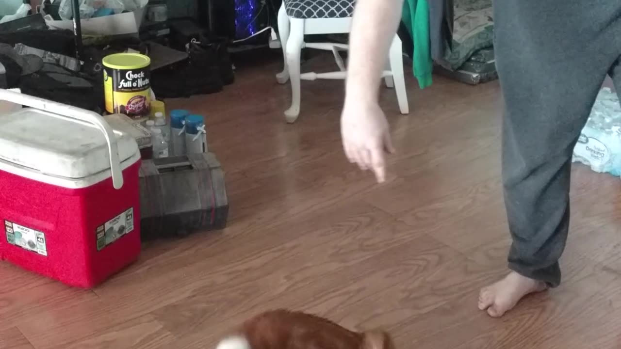 Interesting Ping pong ball