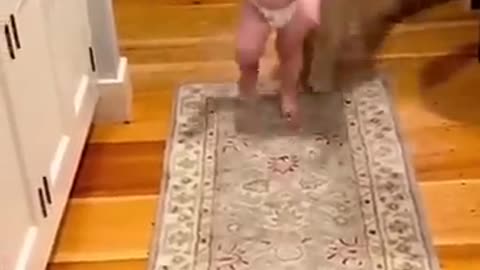 cute baby enjoys playing with dog :D