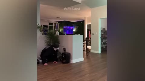 Funniest Animals 2023 😂 Best Funny Cats and Dogs 😺🐶 Part 26 _ Cute Land