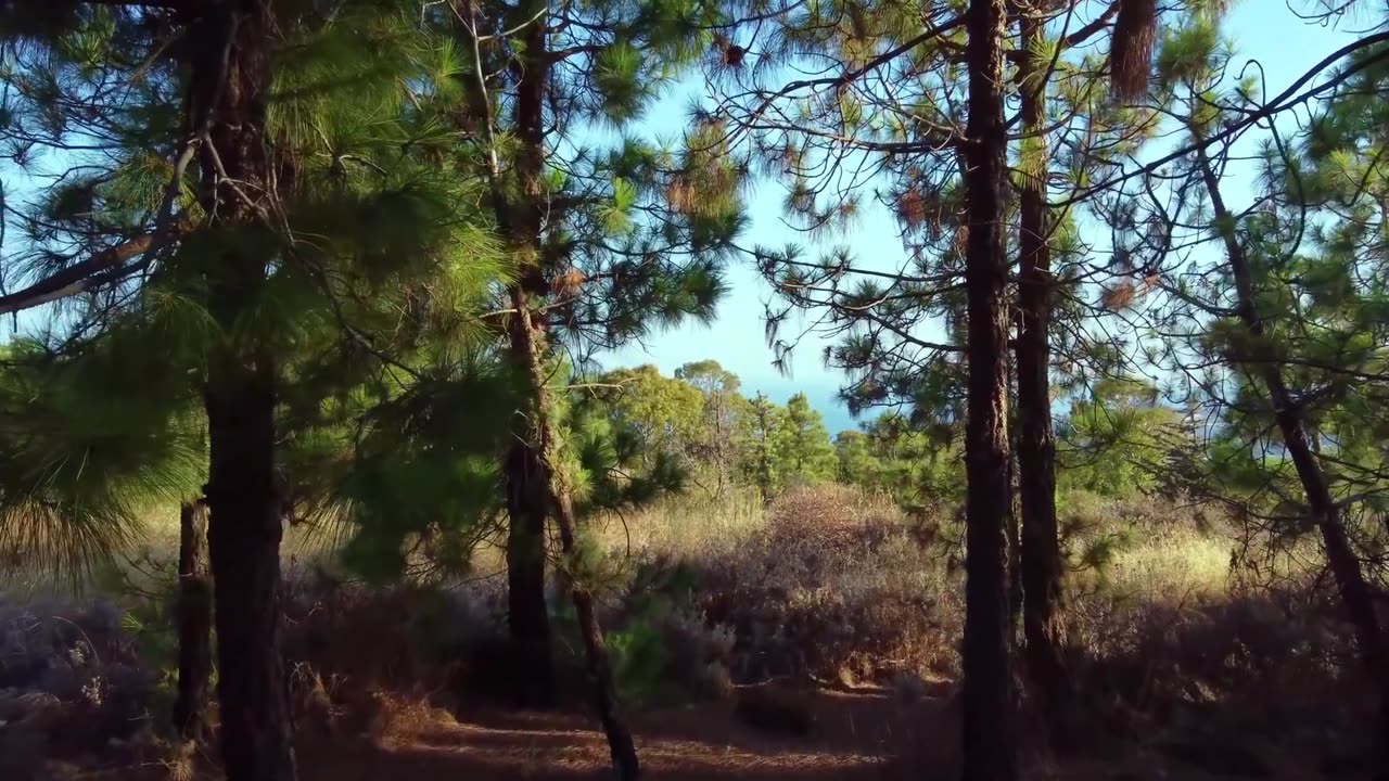 Beauty Of Nature _ Sun _ Beach _ Mountains _ Drone View _