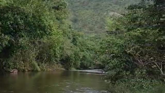 Um pouquinho da energia boa da Chapada