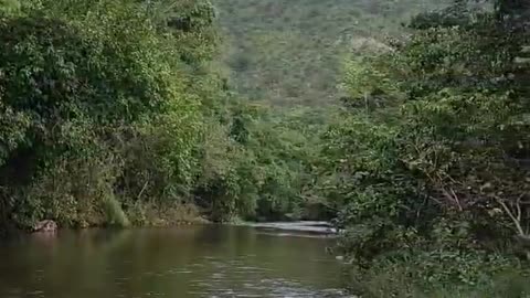 Um pouquinho da energia boa da Chapada