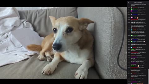 2023-03-26 (8bis.2) - Marie n'est pas d'humeur - Twitch Decheterie (version avec chat)