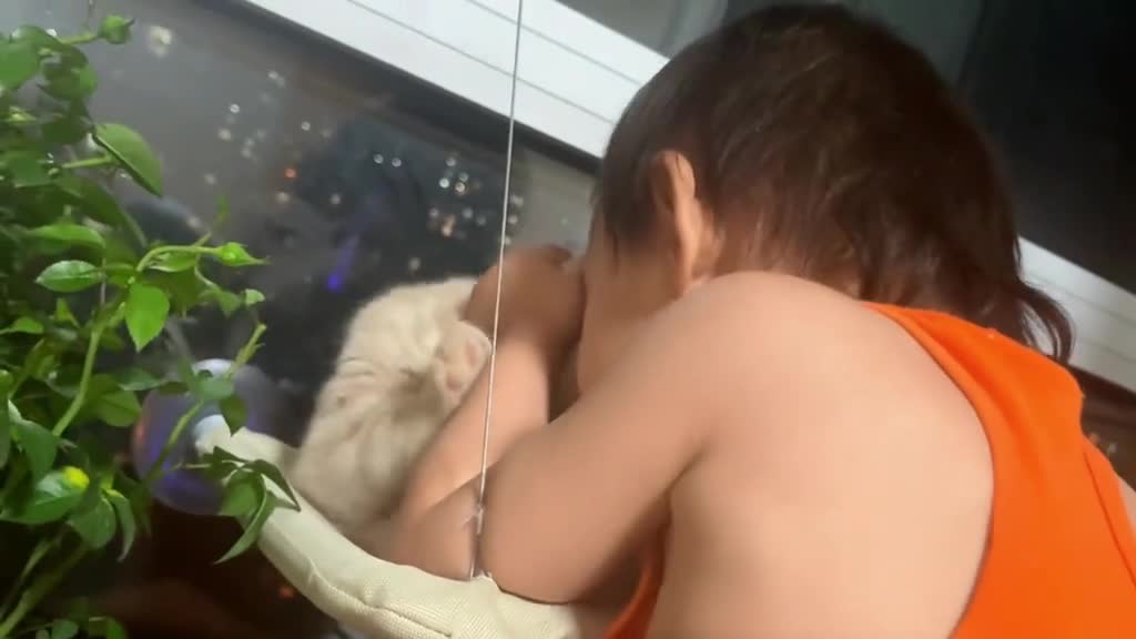 Why are cats so gentle with children 🥰