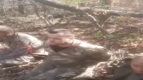 Another fresh batch of captured "mobs" from the Kharkiv direction.