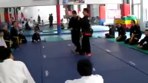 Hanminjok Hapkido