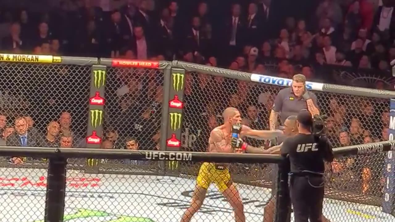 Adesanya vs pereira