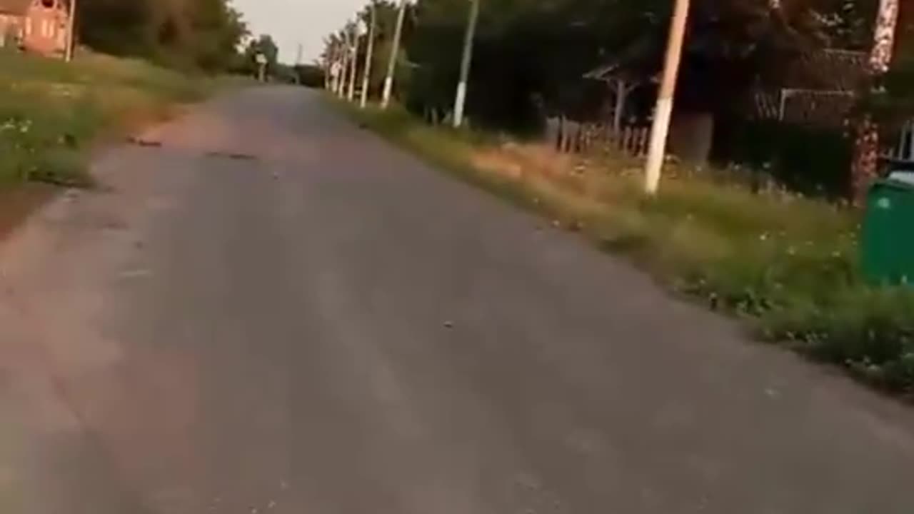 Russian Villager Talks About Looting, Wild Animals, Gangs of Russian Militia, in Belgorod