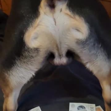 My 💰 don't jiggle jiggle 🤣🤣.