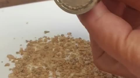 Kellogs magnetic