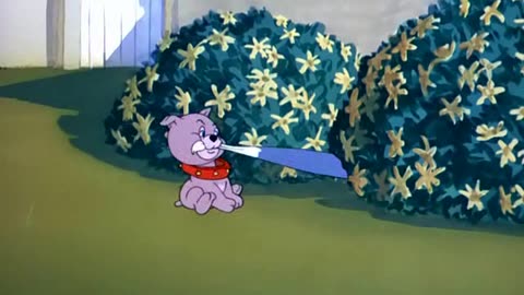 TOM N JERRY 076 That's My Pup! [1953]