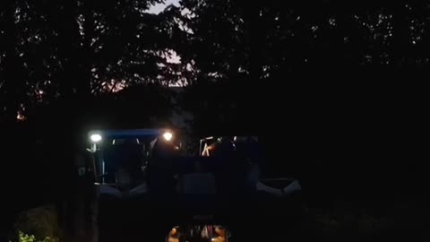 Harvesting Grapes Under the Stars