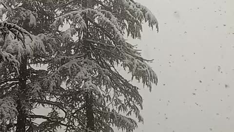 Blessings fall from sky