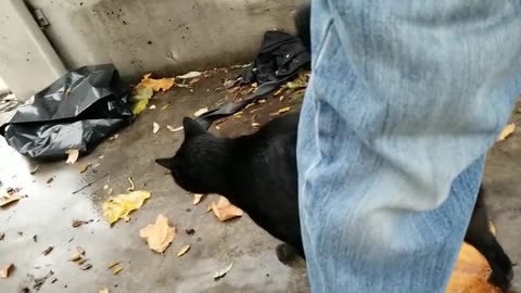 20231220 153723 Tux by Shelter