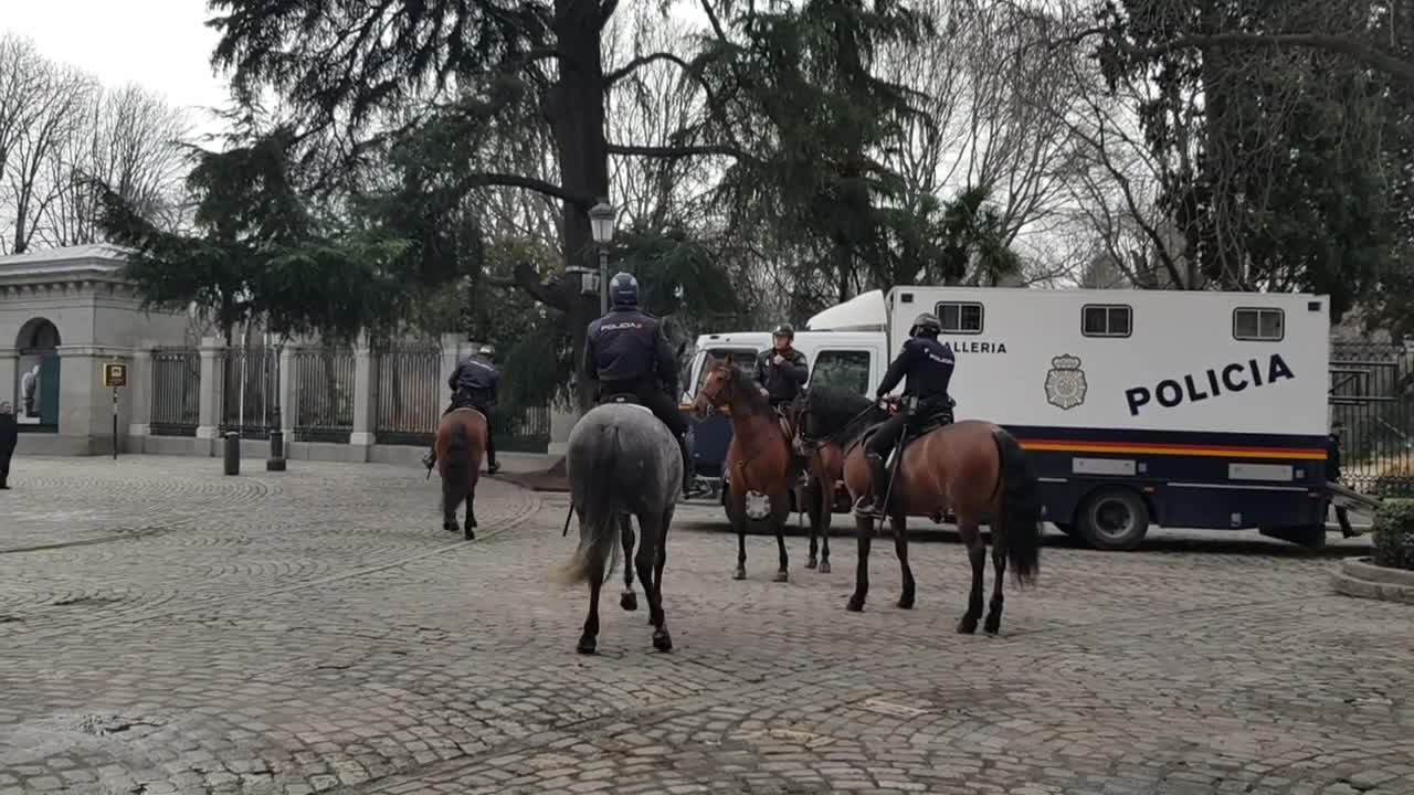 Beautiful and Smart Horse in Madrid Spain