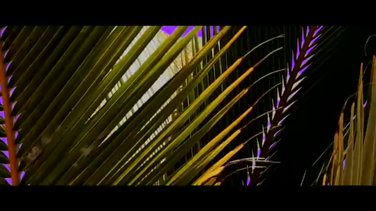 Serena_-_Safari__Official_Video