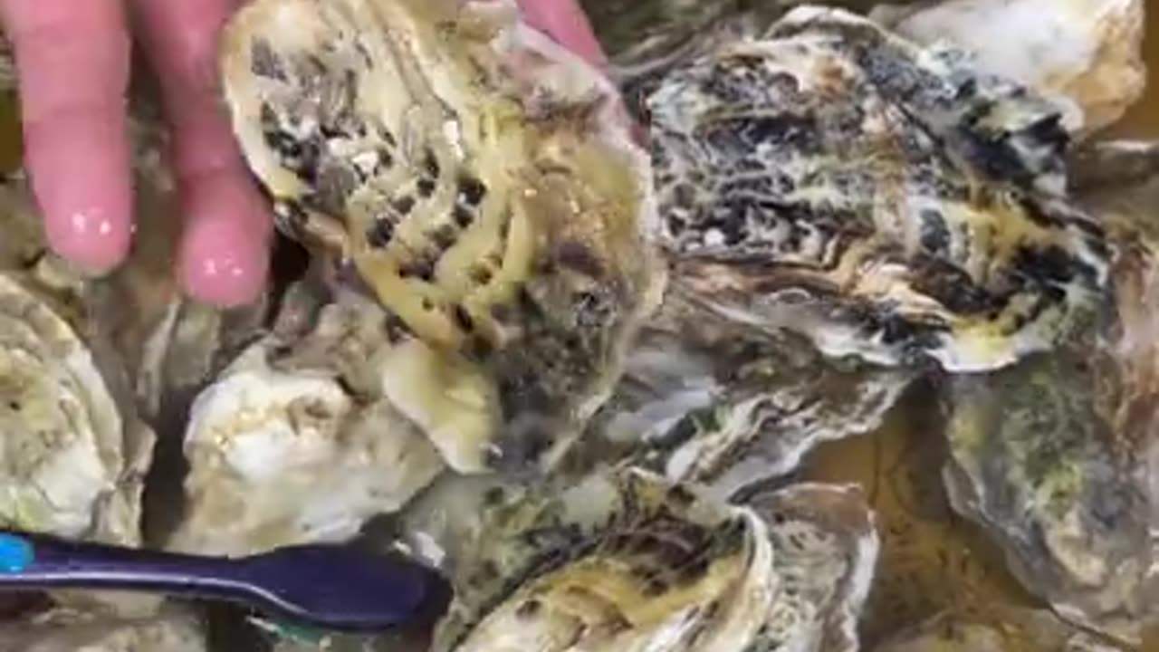 How to cook Oyster