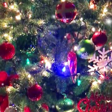 MAKE CHRISTMAS GREAT AGAIN!!!😍🎄🎄🎄