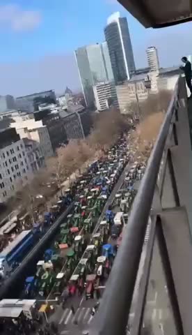 NETHERLANDS FARMERS PROTEST PARTY WON PROVINCIAL ELECTIONS🥬🚜👨‍🌾