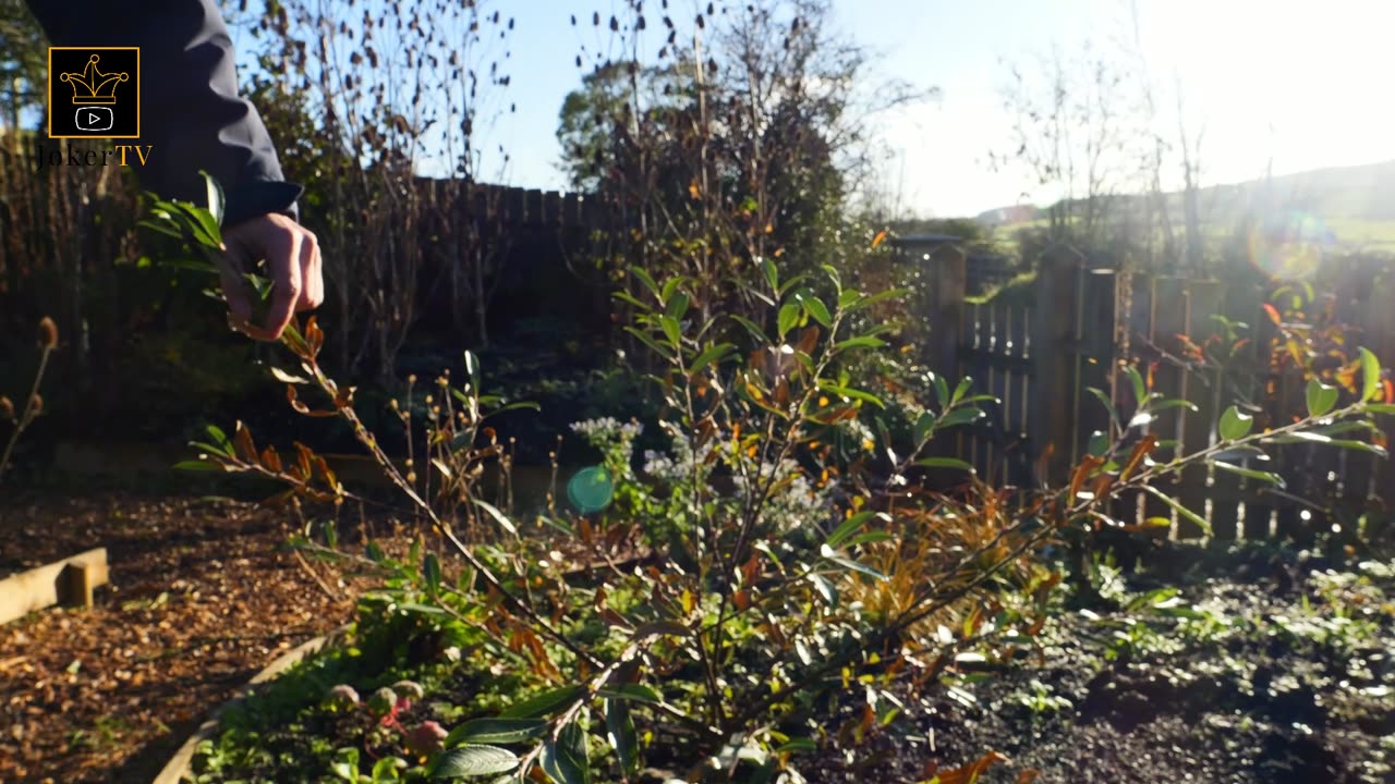 TWO ARTISTS, husband and wife. One, a painter, and the other, a gardener. Inishowen Artists' Retreat