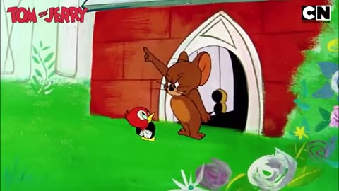 Tom & Jerry