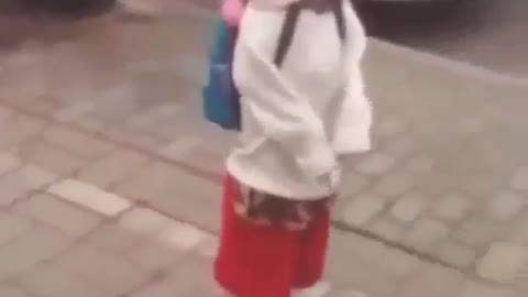A dog that can stand
