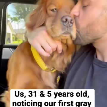 Growing old with your dog #goldenretriever #dogdad #flashback