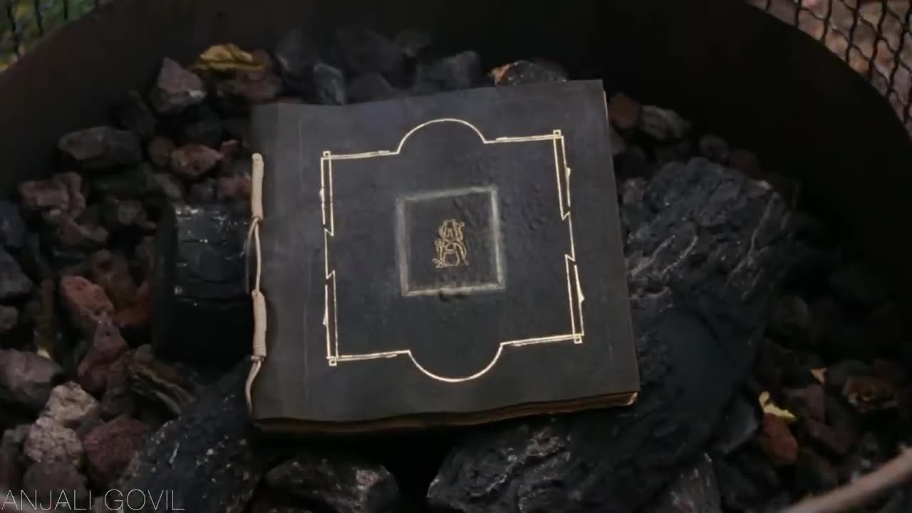 A boy who discovered a magical world with a book.........................
