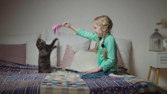 Caring cute preadolescent girl with pigtails petting with love small cat