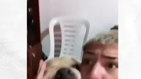 Funny Dog Raps with Her Brother Boy😂😂😂😍😍🐶🐕❤️