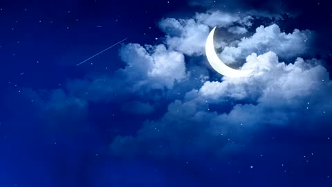 Relaxing Music | Sleeping, Meditation, Stress Relief | [1306] ⭐️