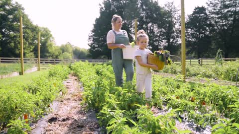 CSA Farmer Lauren Talks About the Importance of Cultivating Community