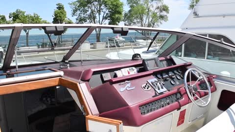 1990 Sea Ray 310