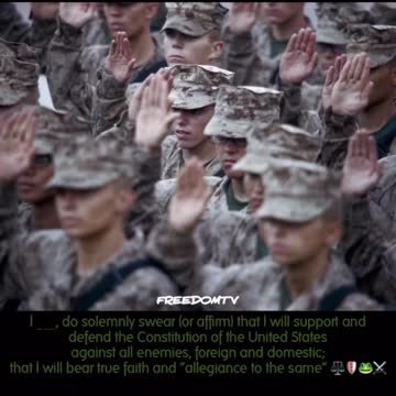 Freedom fighters allegiance