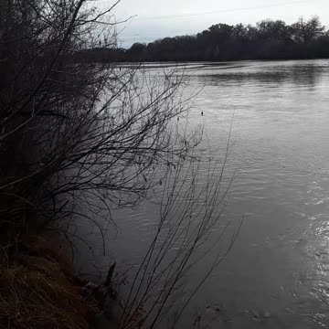 Illegal aliens pour into our country all while law abiding people still can't come.