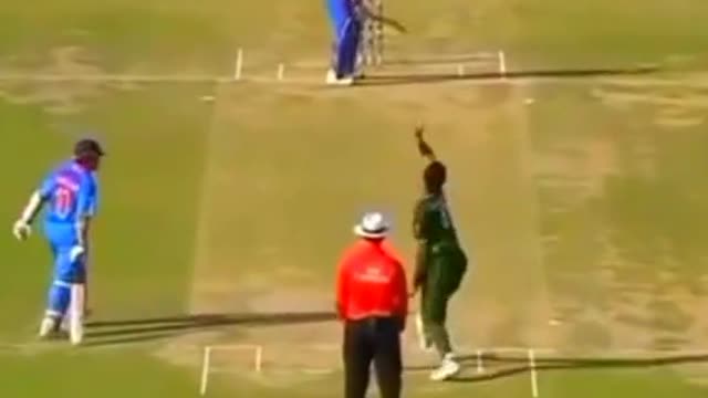 fans-video cricket lovers-video #cricket #cricketlover