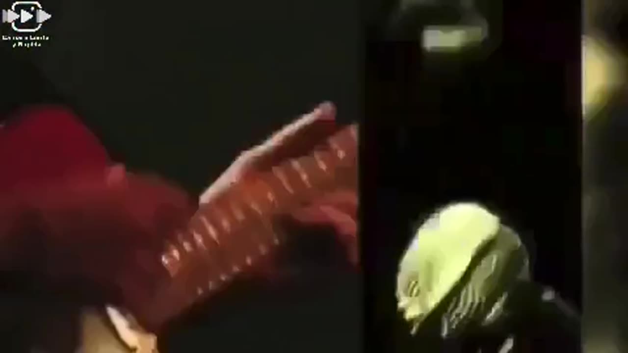 Schlahchtkfjfofbfronx - Bigieisishzaetia