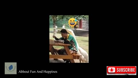 Funniest Cats And Dogs Videos 😂 Best Funny Animal Videos 2023 #18