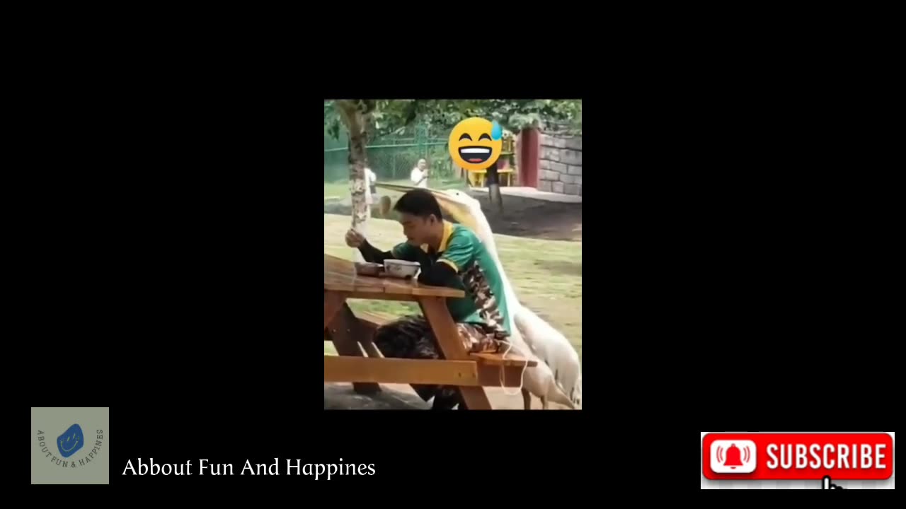 Funniest Cats And Dogs Videos 😂 Best Funny Animal Videos 2023 #18