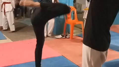 Roundhouse kick tutorial front foot and back foot | knockout by one kick