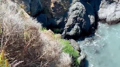 Bluest ocean water in California?