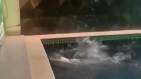 Can't go diving