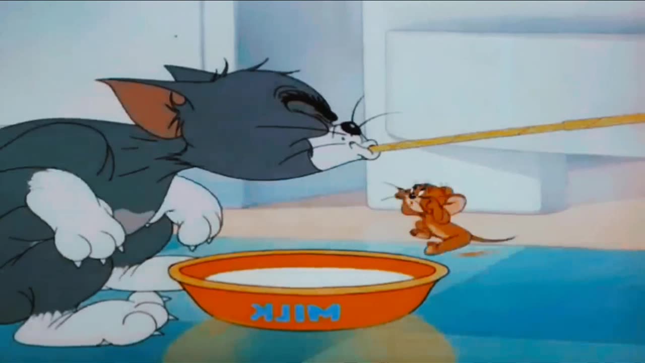 tom and jerry funny cartoons