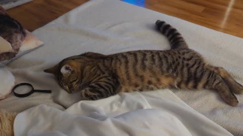 It was a hard day