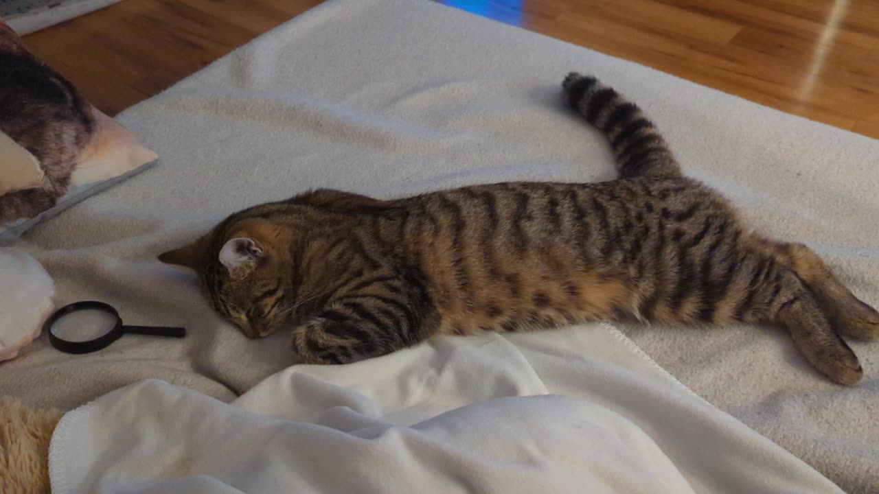 It was a hard day