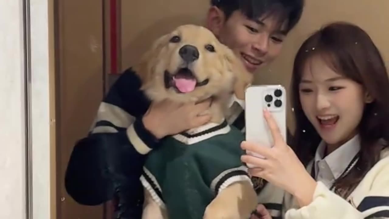 Raise a little golden retriever with someone you like.