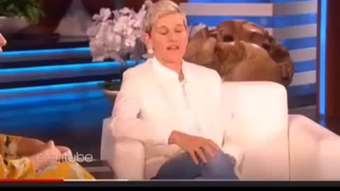 Finally Ellen DeGeneres speaking the truth Sandra Bullock what do you have on your face?